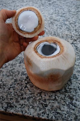 coconut