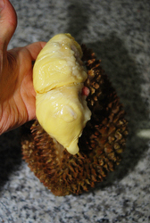 durian fruit